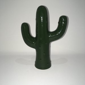 Kaktus Grøn